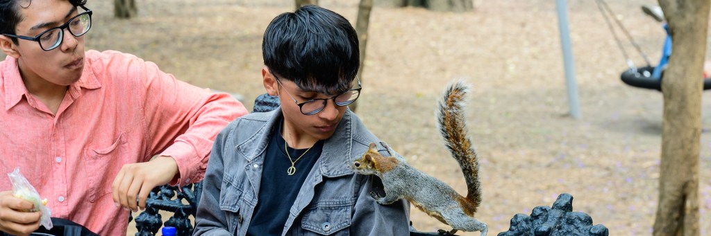 A squirrel introduces themself to two people eating lunch on a park bench
